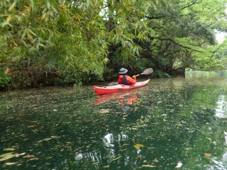 直進性とスピードが特徴のシーカヤックスポーツ艇を使います。リバーより船足が早いので遠方までパドリング可能です。