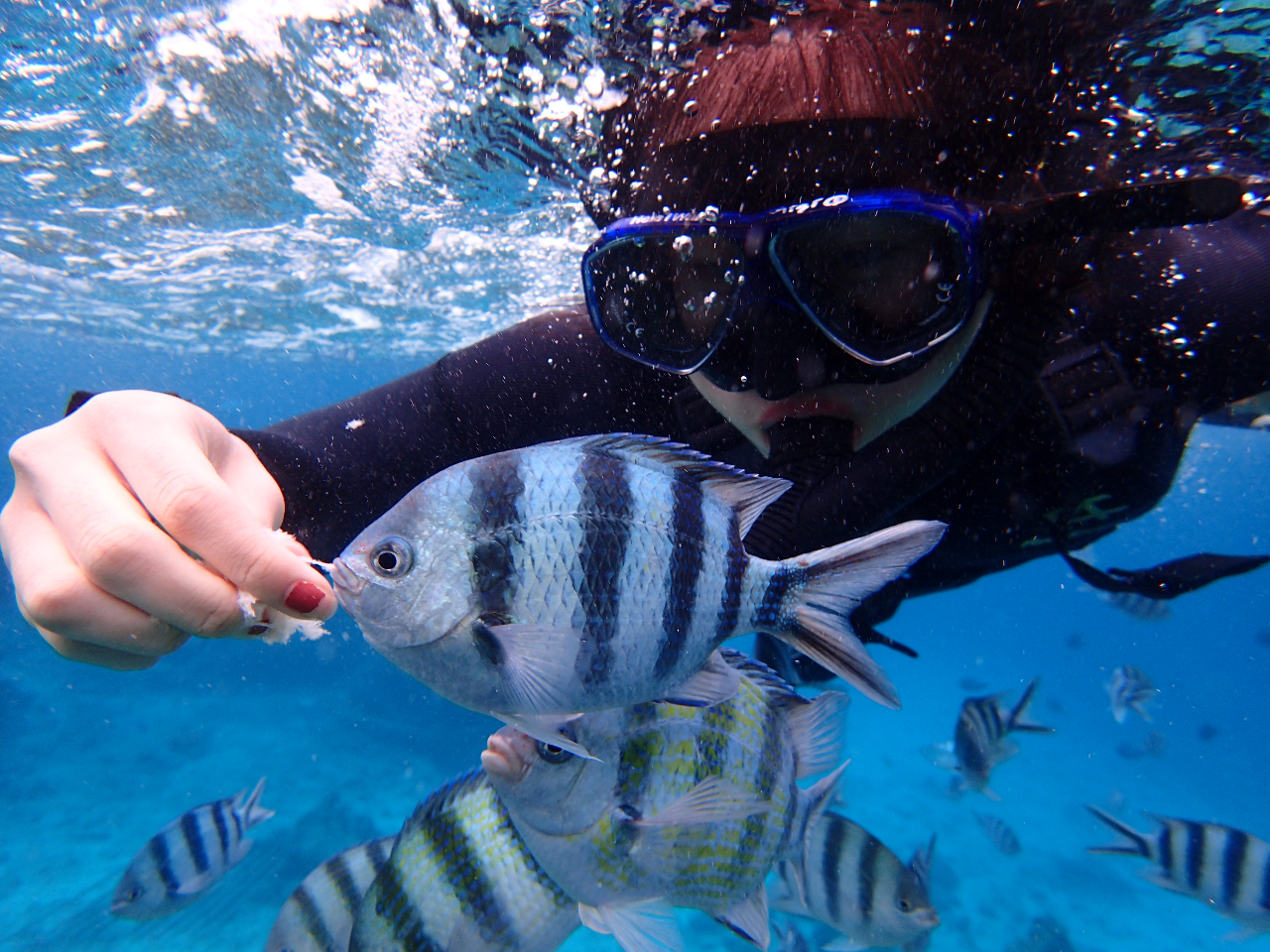 gsJtBbVւ̉atłII肩GTHׂĂ邩킢񂽂𒭂߂܂I