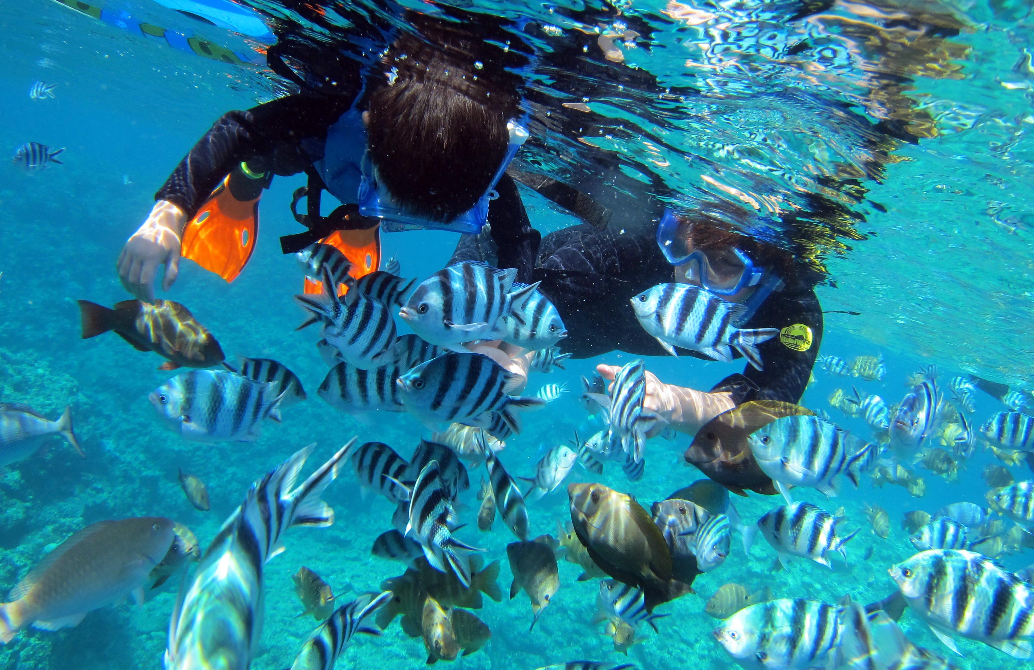 gsJtBbVւ̉atłII肩aHׂĂ邩킢񂽂𒭂߂܂I