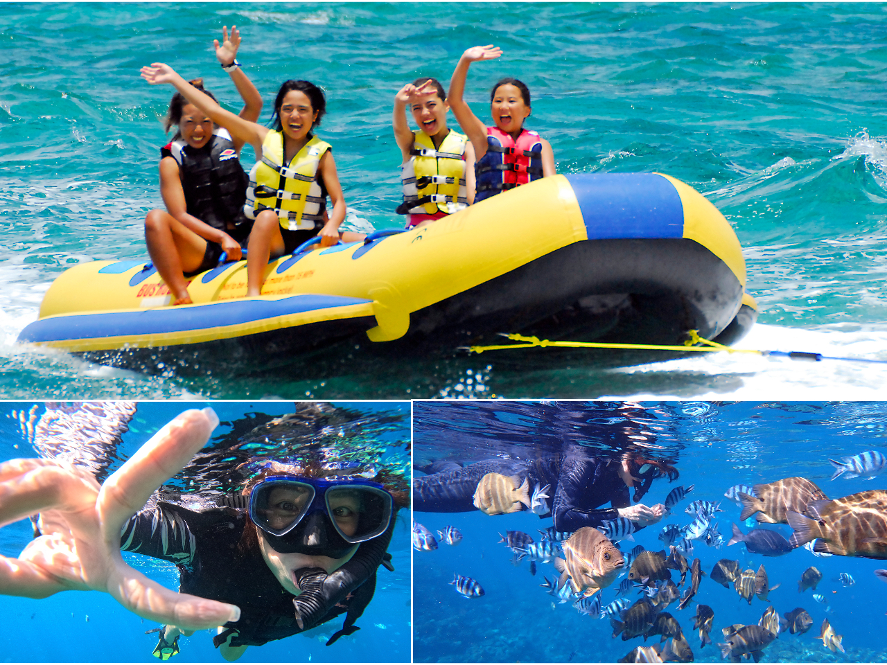 ̓AVm[POƁAVтɂ߁I