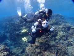 沖縄のきれいな海で、ダイバーデビューしちゃいましょう!