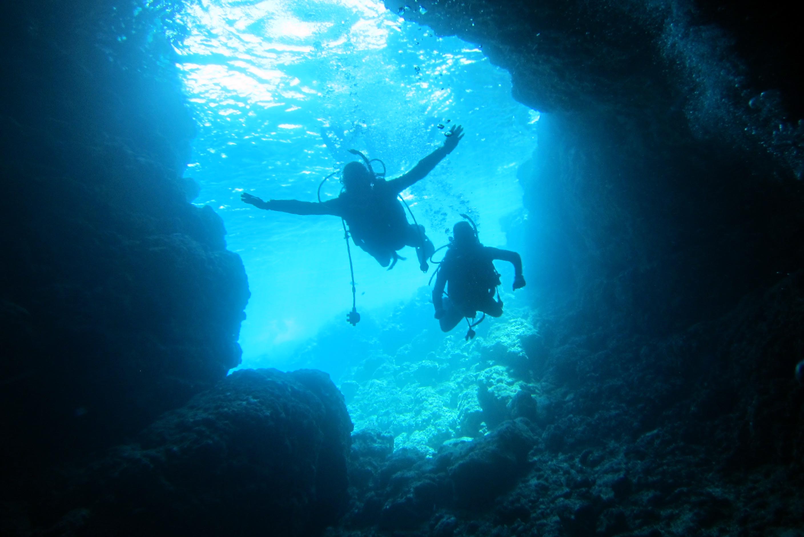 s̎voɁA̓Ał̑̌_CrOy݂܂傤I