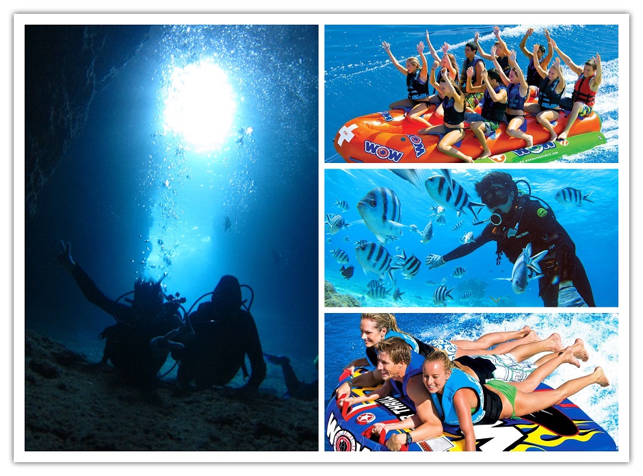 }X|[c͐lC3hS{[gArXPbgAU`[uI̓AƃZbgR[XłII