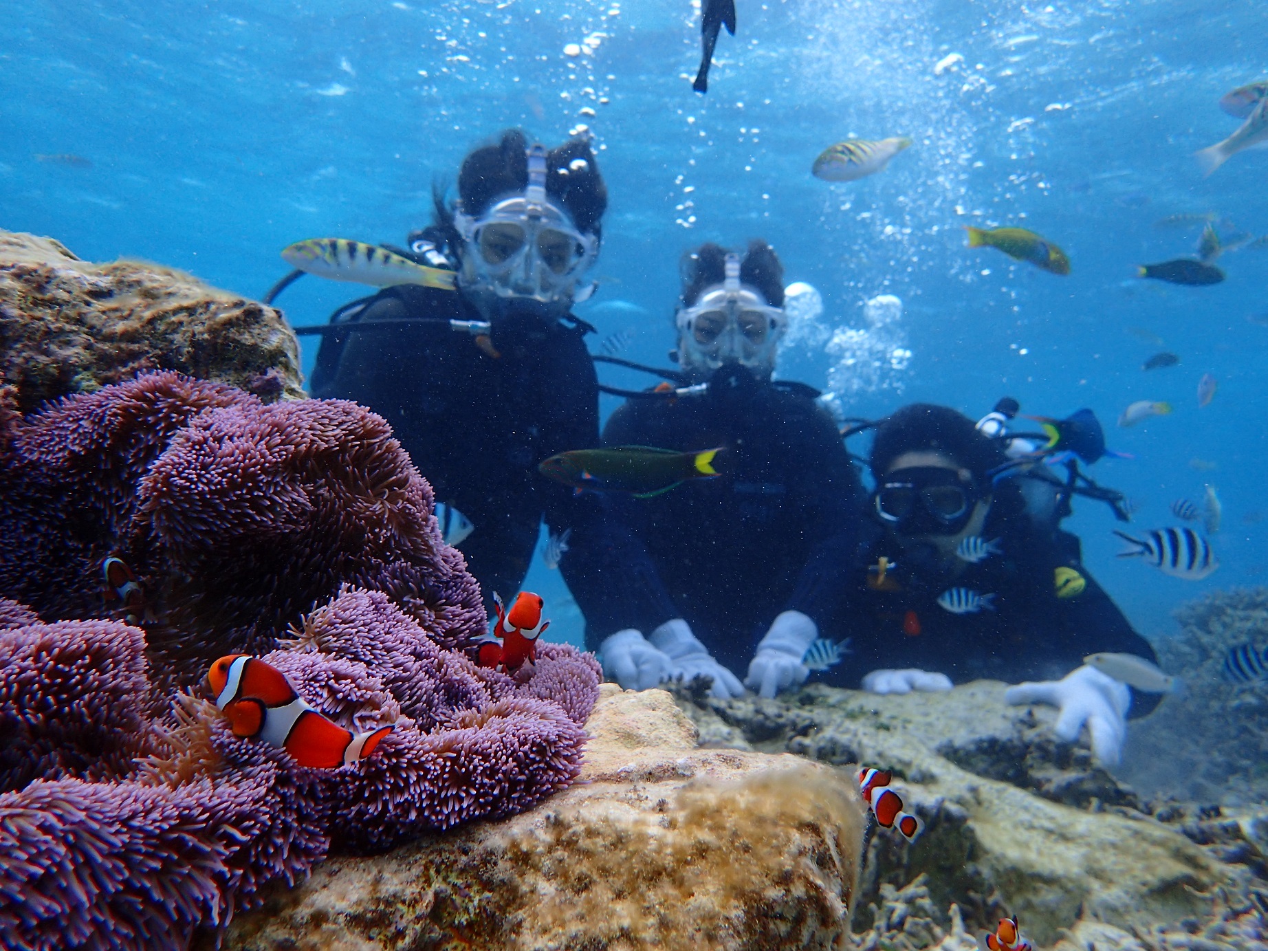 ʏ̃}XNł͂łȂ@ċzłAƂĂKI