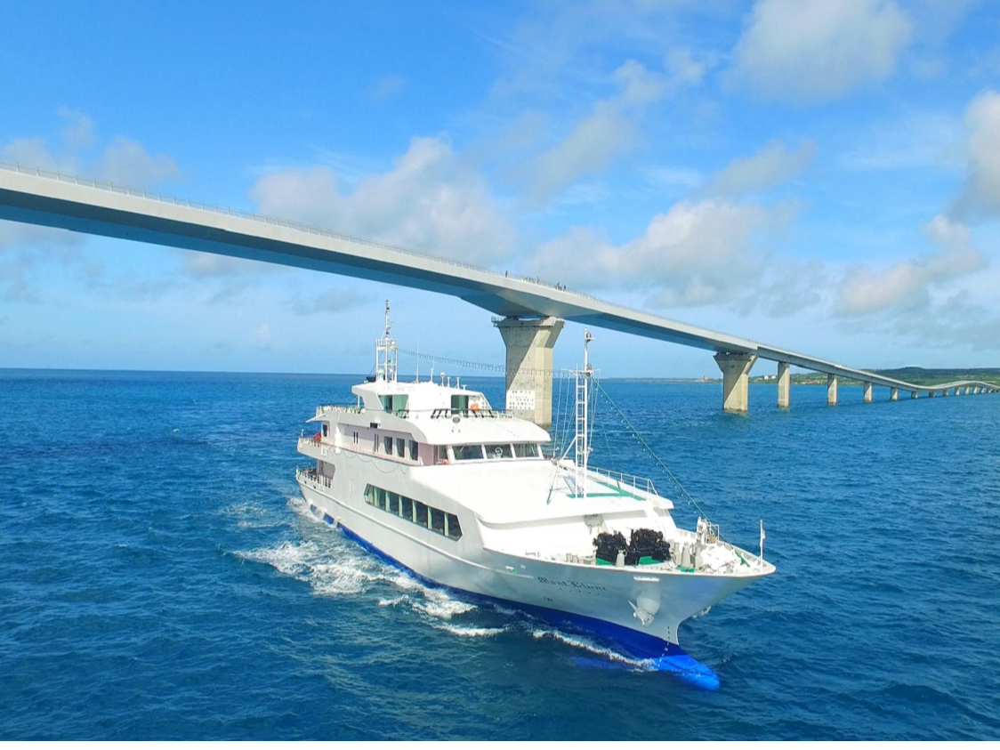 ` 𒅂܂܊CUŋ{Ó̃GhO[̐Ě ` ɗǕ勴ƃu `