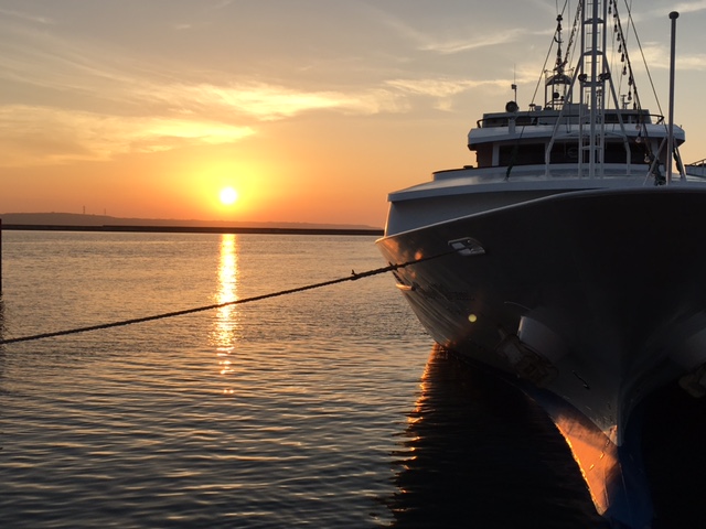 �`�@�����u�����͊F�l�̂��z�������҂����Ă���܂��@�`