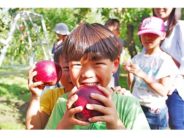 お気に入りのりんごを見つけてみてね♪