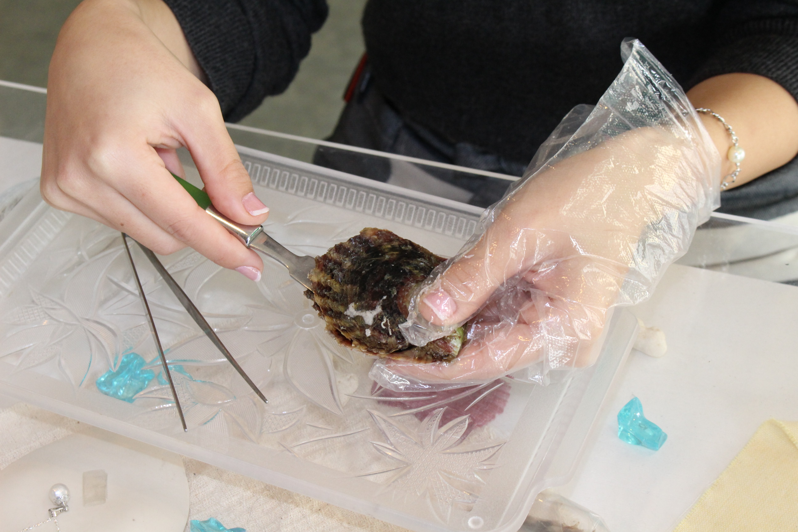 ߂Ă̐lłA₳Ă炦̂ňSł