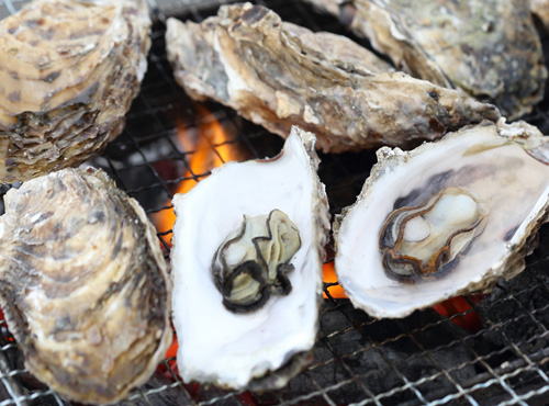 海辺で潮の香りを感じながら、ぷりっぷりの牡蠣を心ゆくまでお楽しみください!