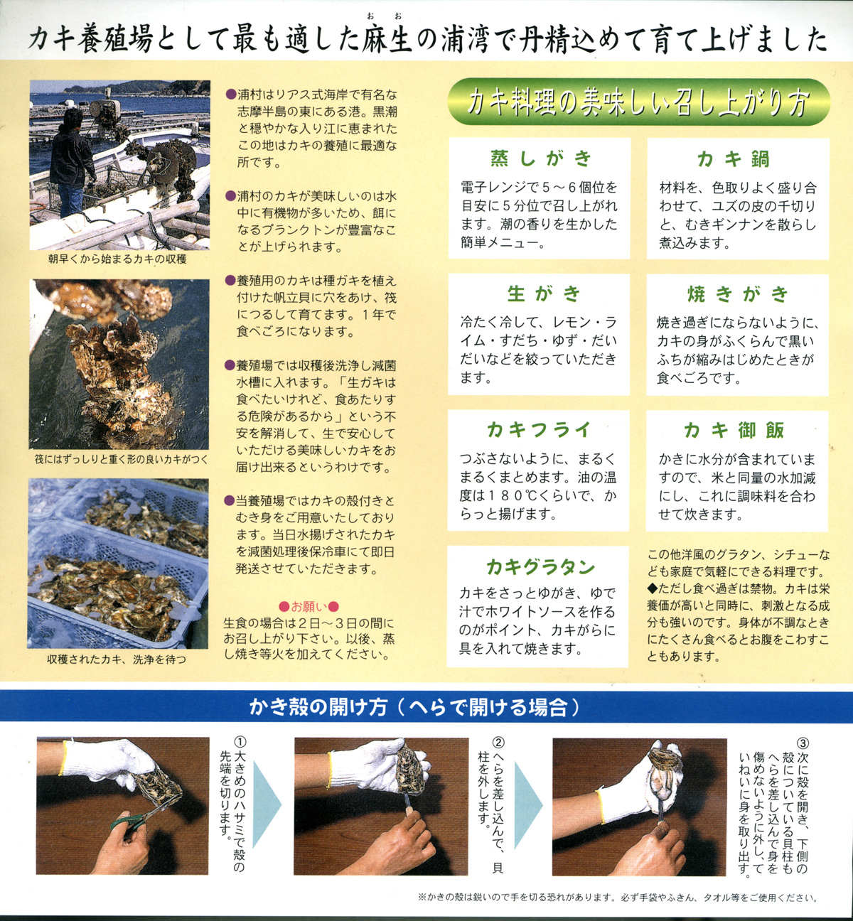 ~̖ỏyɂ́AHו񂠂܂IЌnły݂I