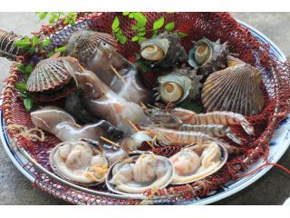 海鮮5点盛り♪