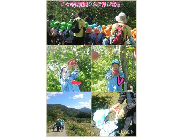 お子様も楽しめるりんご狩り☆