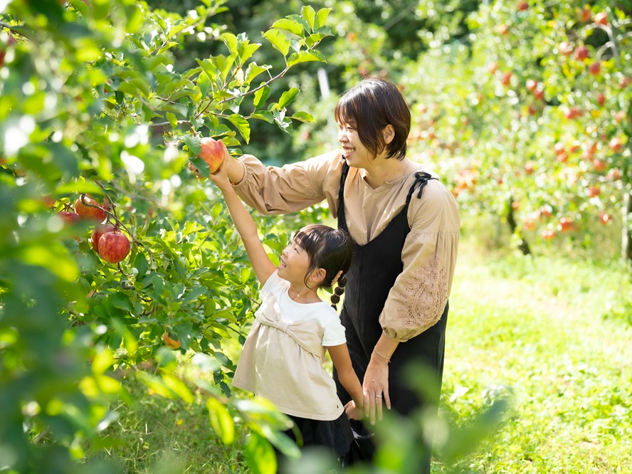 【わくわく体験!飛騨高山対象】◇時間無制限で食べ放題◇飛騨高山でりんご狩り♪ 2...