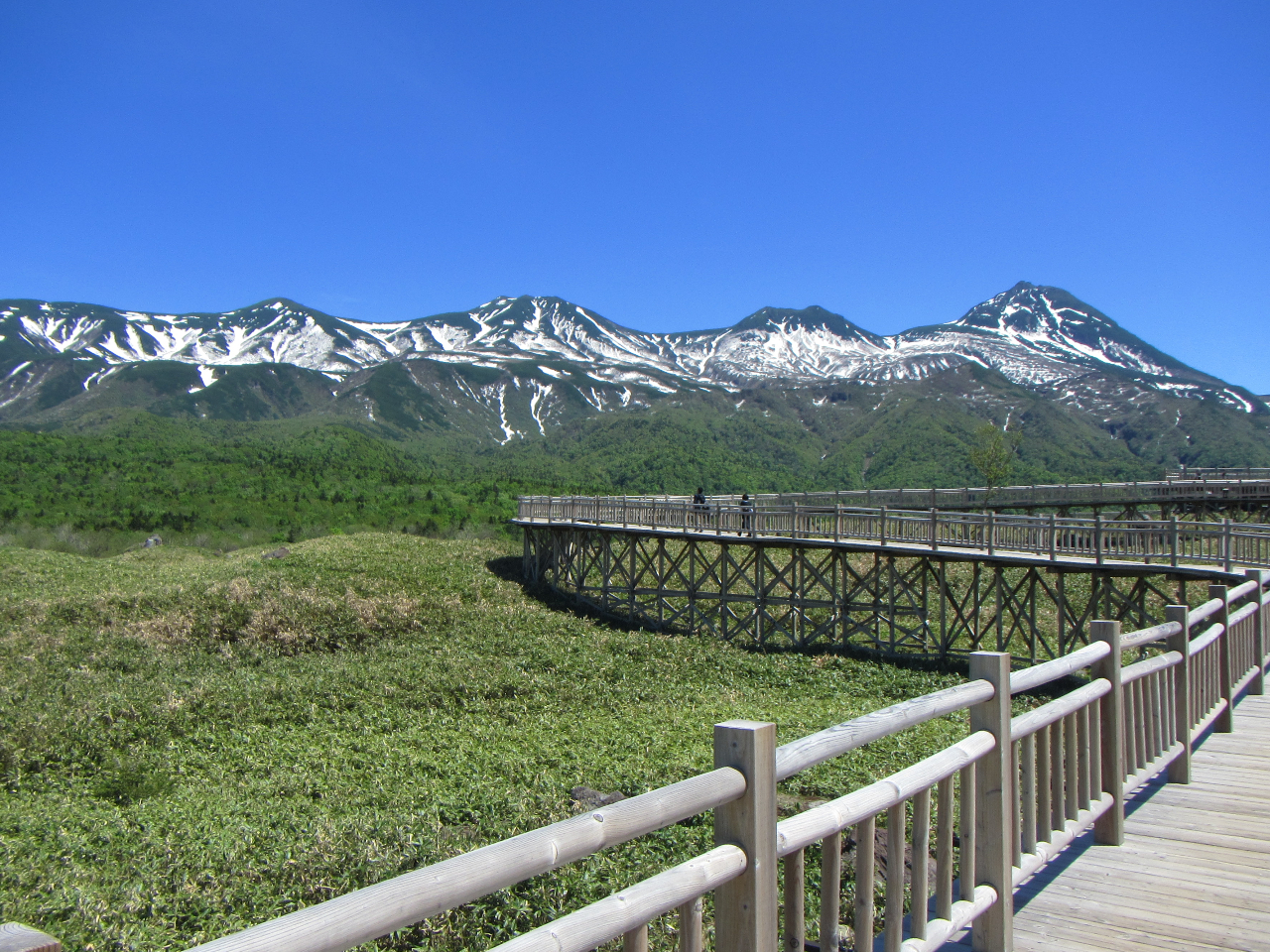 m܌ΒnVIƍŌ͍˖ؓłB˖ؓ͒mARTT𒭂߂Ȃon_̒m܌΃tB[hnEX֖߂܂B