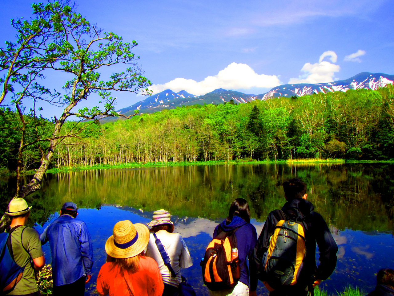 qO}1cA[ɍő10܂łłBlŎU􂷂邩炱ÂȒm܌΂y߂܂B10Œm܌΂Lł!!