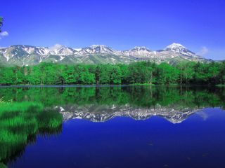 知床五湖遊歩道(地藏遊歩道)を散策すると雄大な大自然が目の前に。初夏の知床五湖は優しい美しい新緑の森、残雪の知床連山が目に飛び込んできます。