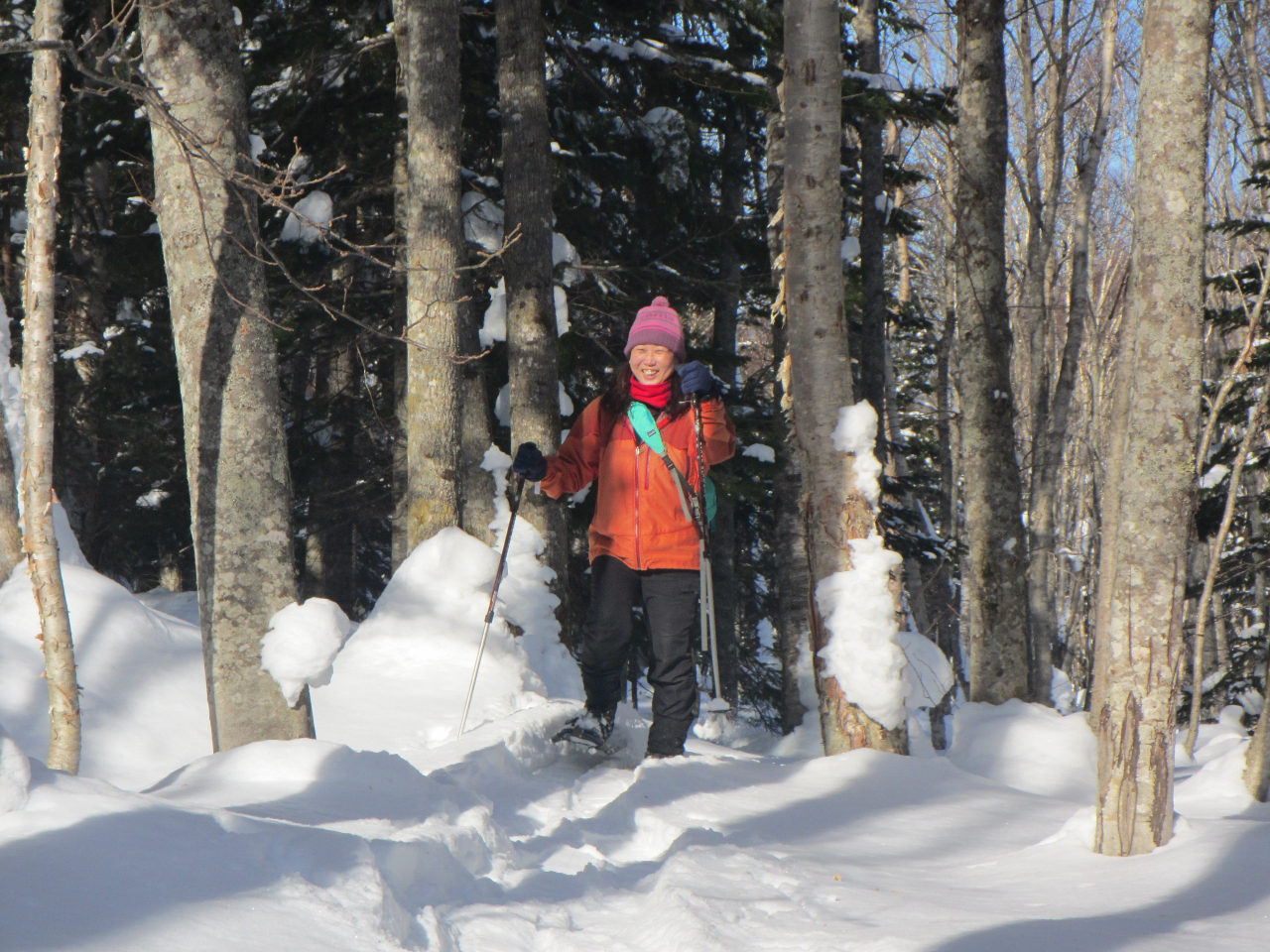 X͎̒RɎUOKBFlDȏꏊUANĂȂ[vy߂܂B