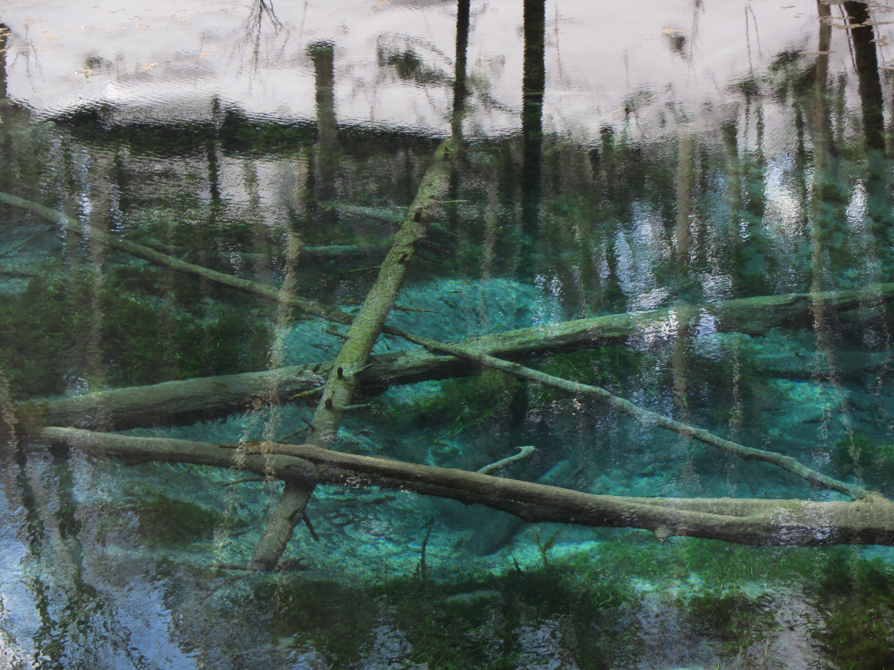 ̐E炩ꂽR̐ERKChēv܂B