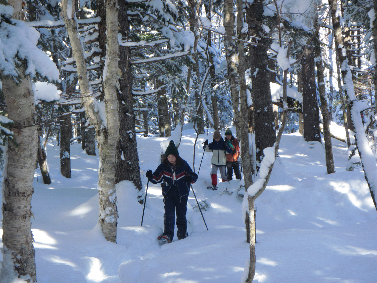 _̎qr̋A̓}c̐΂X̒Xm[V[gbLO