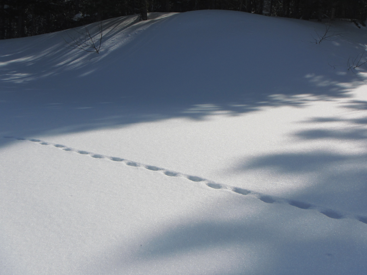 Urɂ͖쐶̑ՂEEEBUɊo邩EEEB