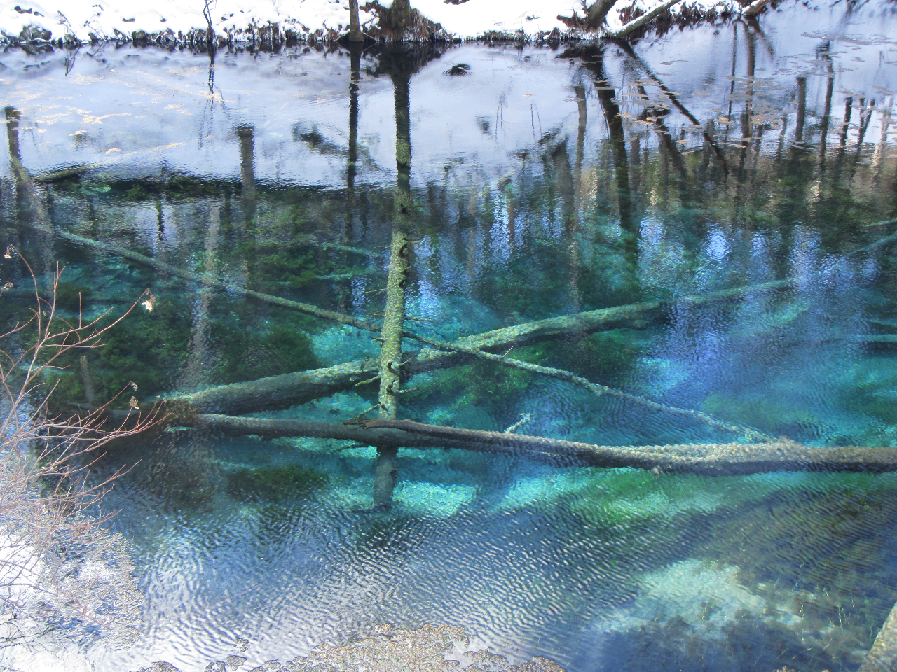 p[X|bgu_̎qrvłB~ł鎖ȂNo_̎qrB_IȐɈ܂銴IȌiFłB