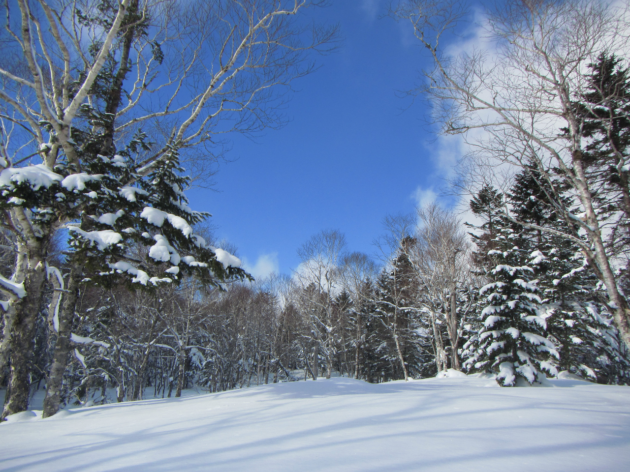 A̐X̒Ɍጴł́AƋY邱Ƃł܂B