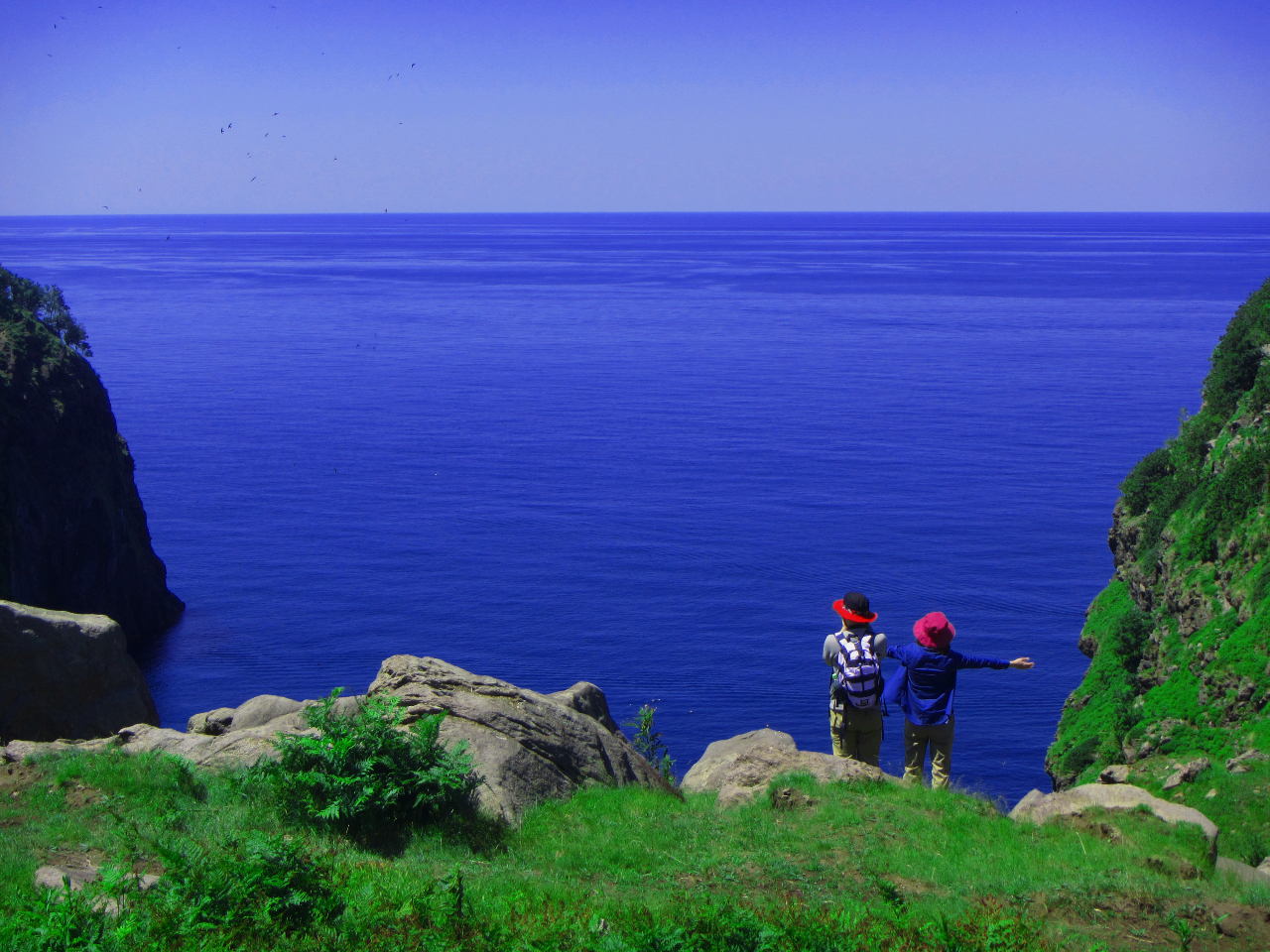 野生動物遭遇率No.1・知床五湖/知床の森1Dayハイキングツアー・知床の森と断...