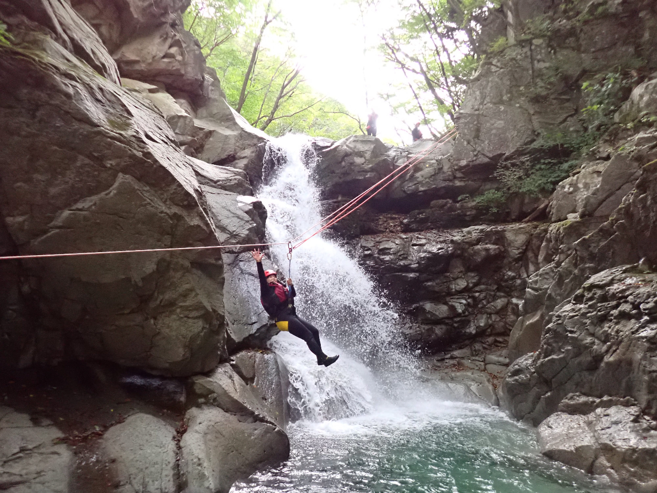 �C���̓X�p�C�_�[�}���H�I