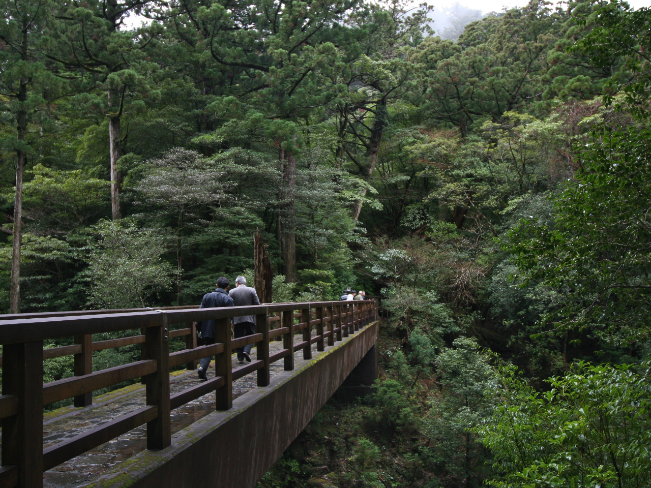 NXMh@R[Xɓr[ɐ̌тƂȂ܂B