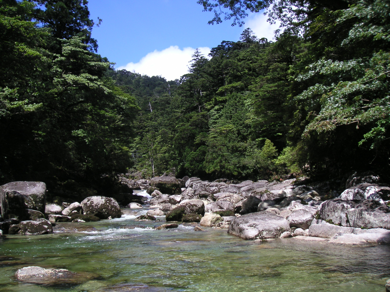 NXMh@rɊ|݋nĂ{iIȓoRɂȂ܂B