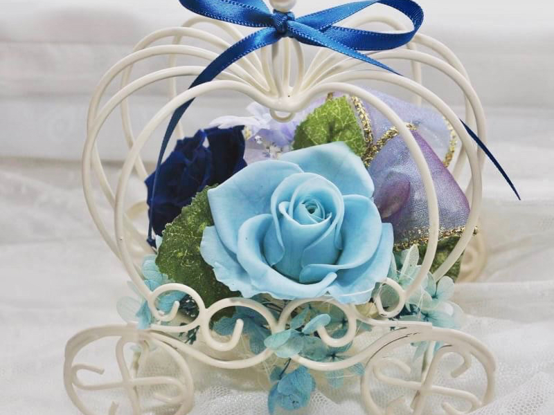 シンデレラのカボチャの馬車、シンデレラカラーのブルー系でも、他の色でも可愛いです。