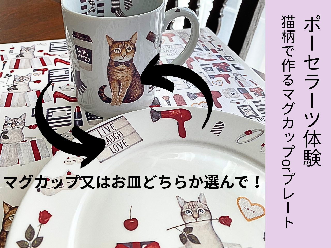 �}�O�J�b�v���C���M�ǂ��炩�I��ł��������B�ǂ������肽�����͓����ǉ��ł��܂��B