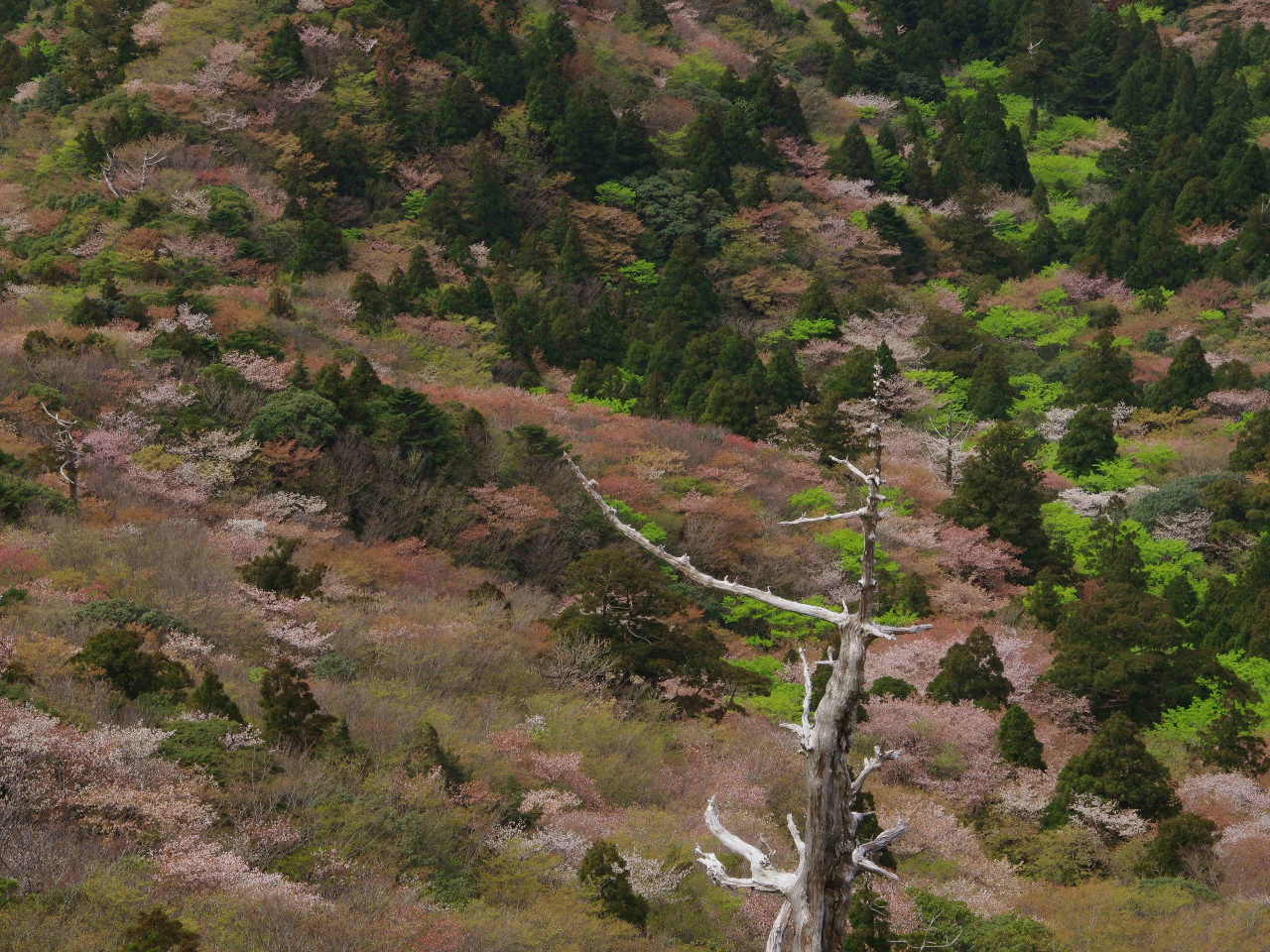 R{`S{ɁAۊ₩烄}UNI