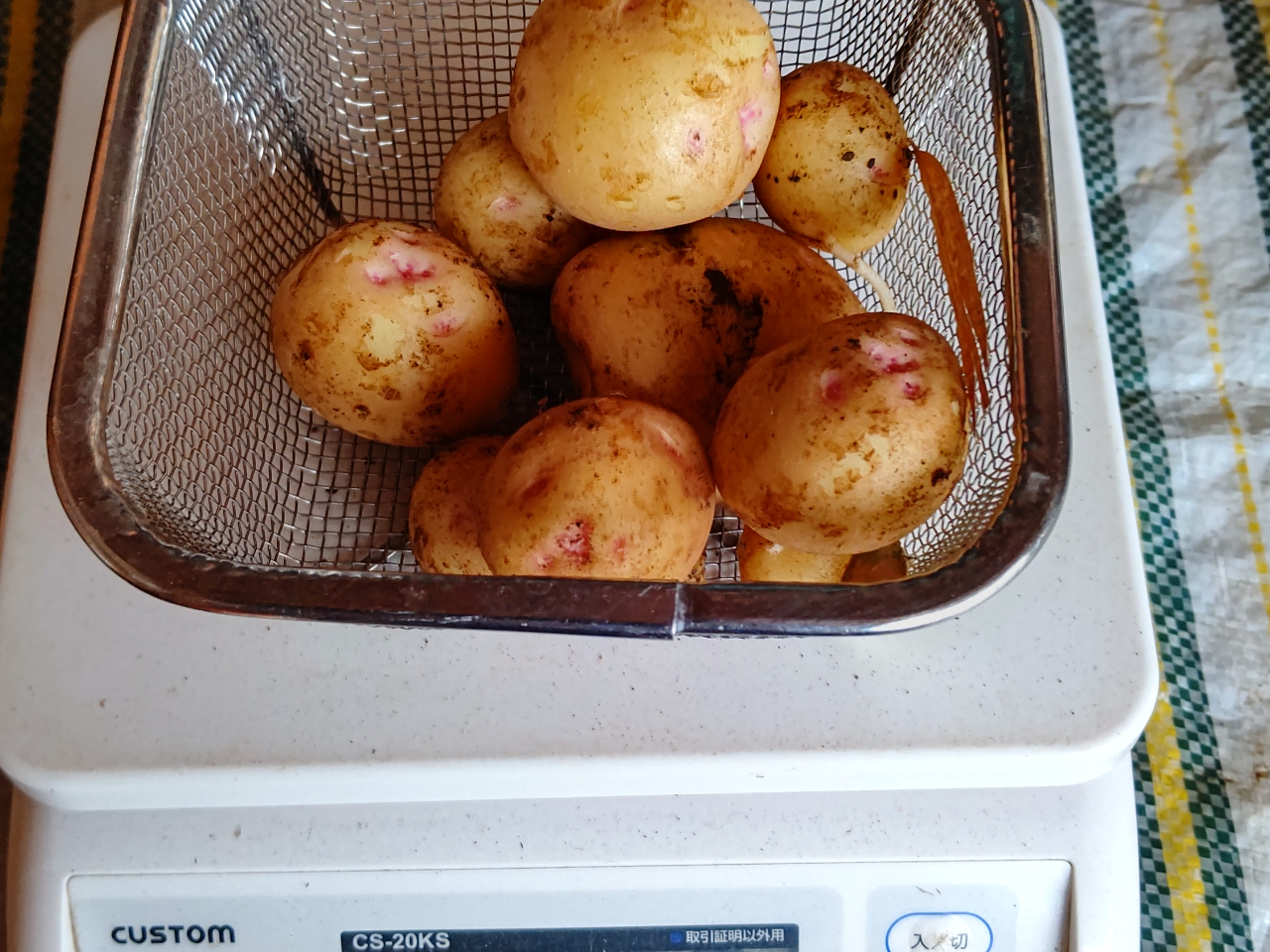 �X�ł�450g