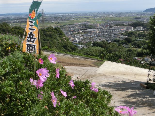 山の上みかん園からの眺望相模湾一望です。天気よければ房総半島館山が見えます。