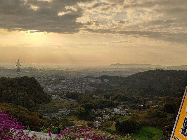山の上みかん園からの朝日.2021年11月THE TIME お天気コ−ナ−嶺百花さん生放送。
