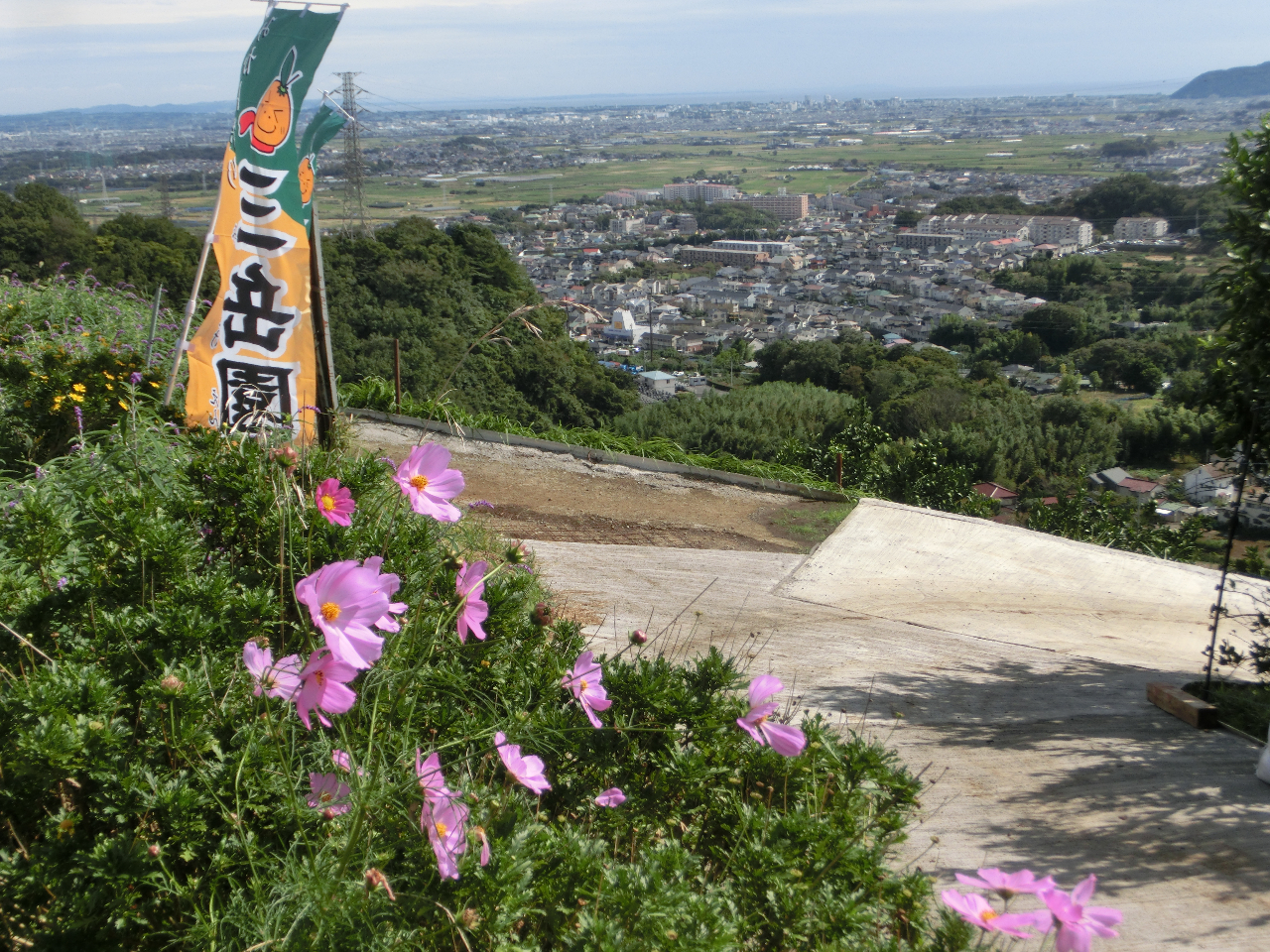 人気の山の上みかん園からの眺望、相模湾が一望天気の良い日は房総半島先端の館山が望めます。