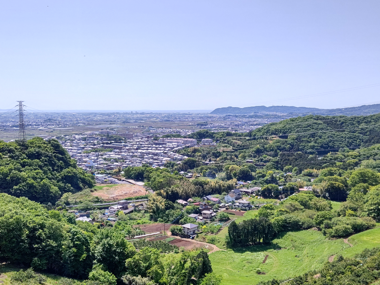 山の上みかん園に隣接するお花畑。