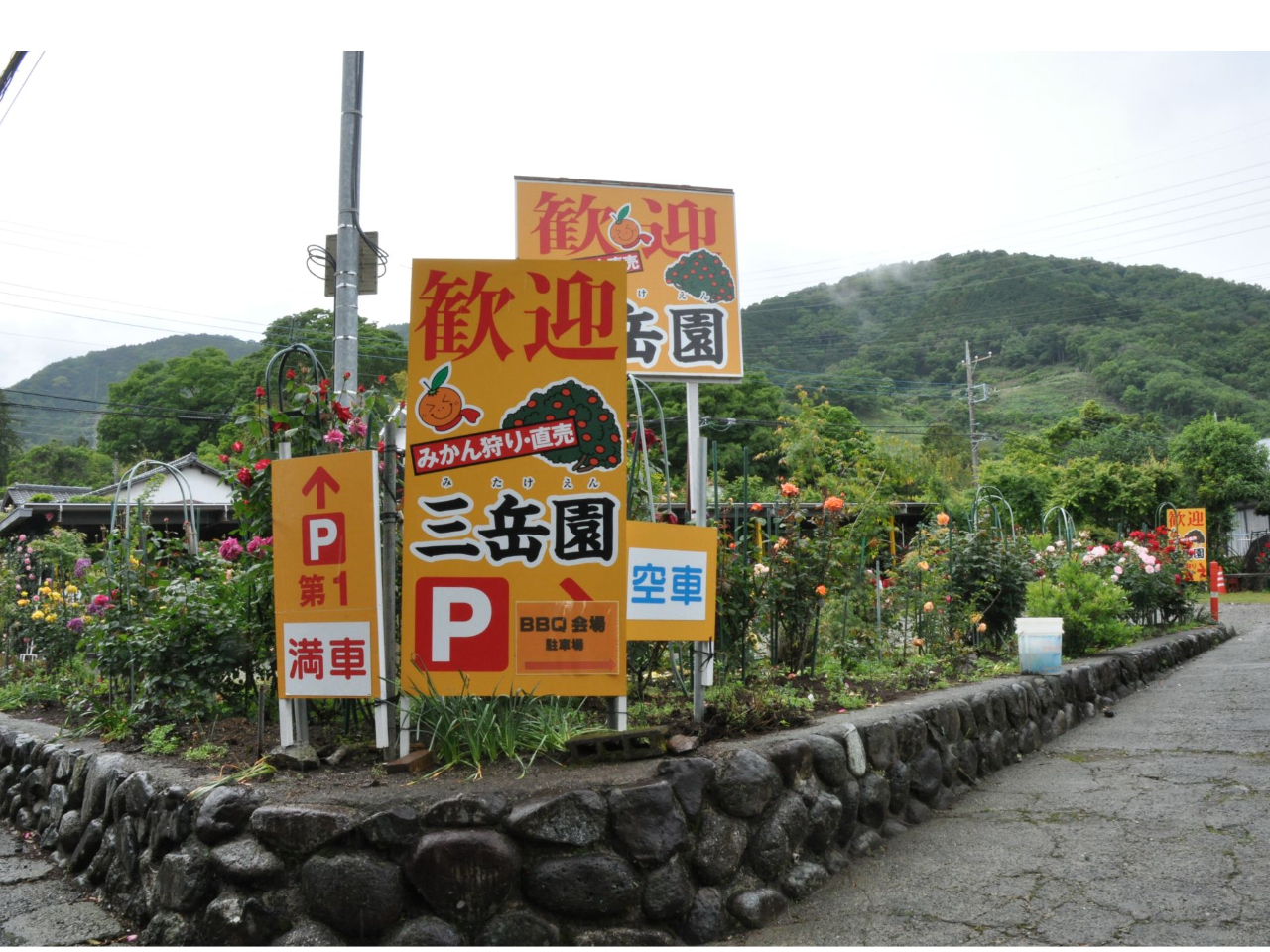 �悤�����O�x����