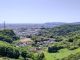 山の上みかん園に隣接するお花畑。