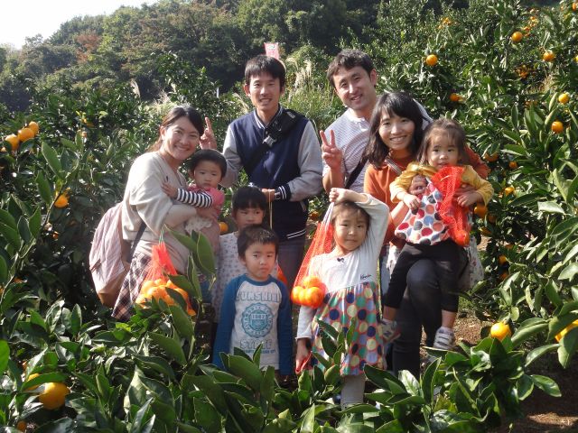 家族でみかん狩りに来ました。