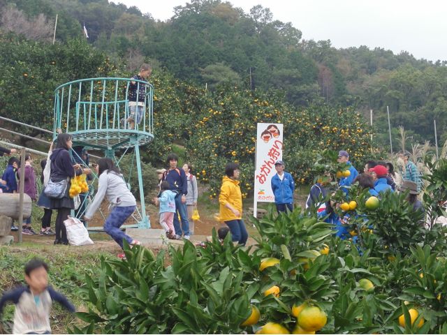 展望台人登ってみよう。江の島が見えるかな!