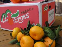 あかざと園からの便りをお届けしませんか! 発送承ります。