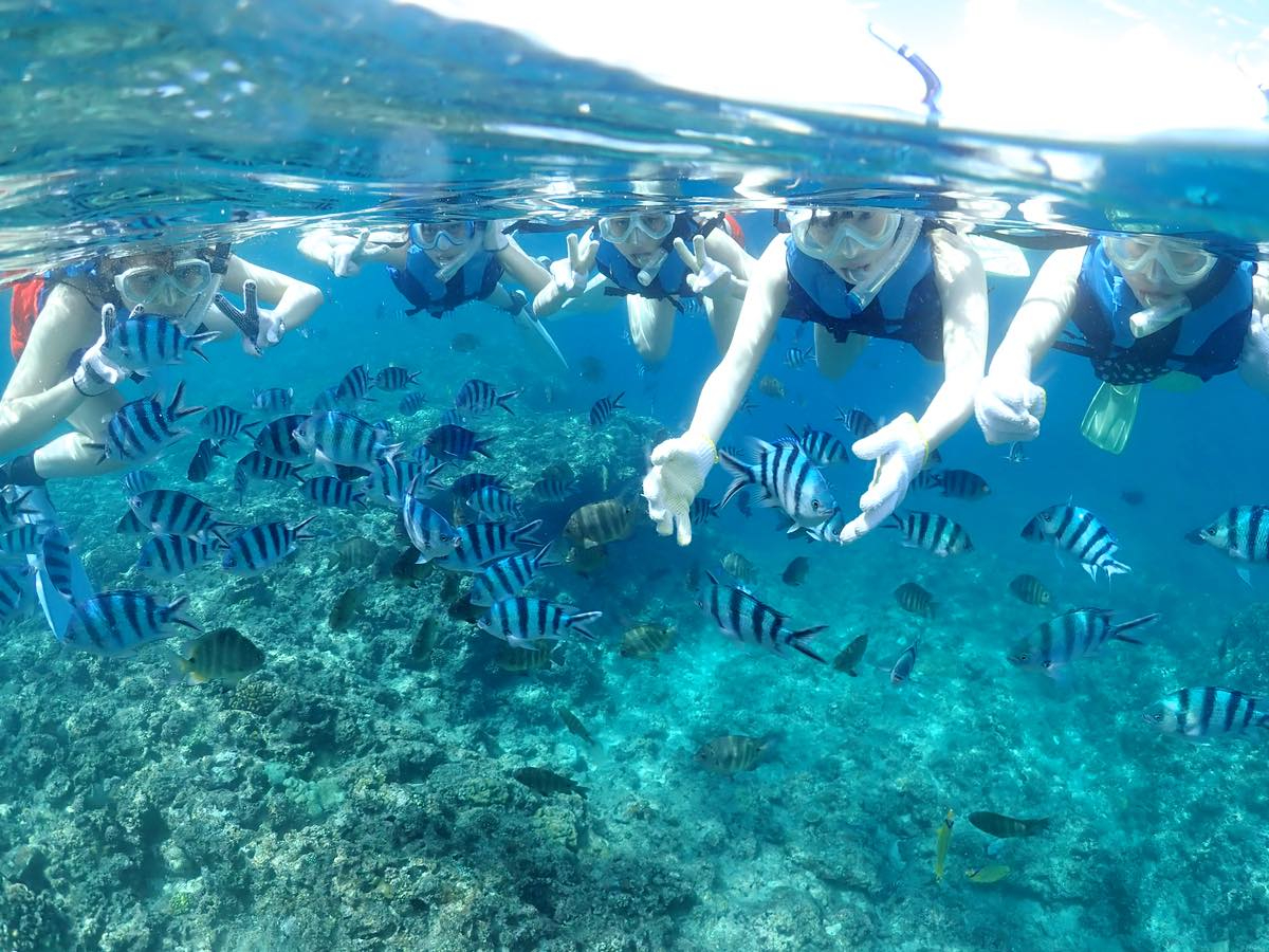 ̓Ay񂾌́AOmŃVm[PO^ClȂ̂ł̂тƊy߂܂BQ݂ȂuNėǂ`vƊŋA܂`