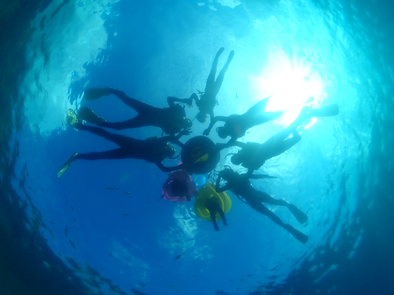 当日お申込み可能な写真撮影コース!スタッフがバッチリ撮影しますよ