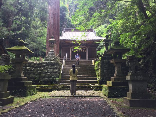 神秘的な佇まいの八幡宮来宮神社は知る人ぞ知るパワースポットです