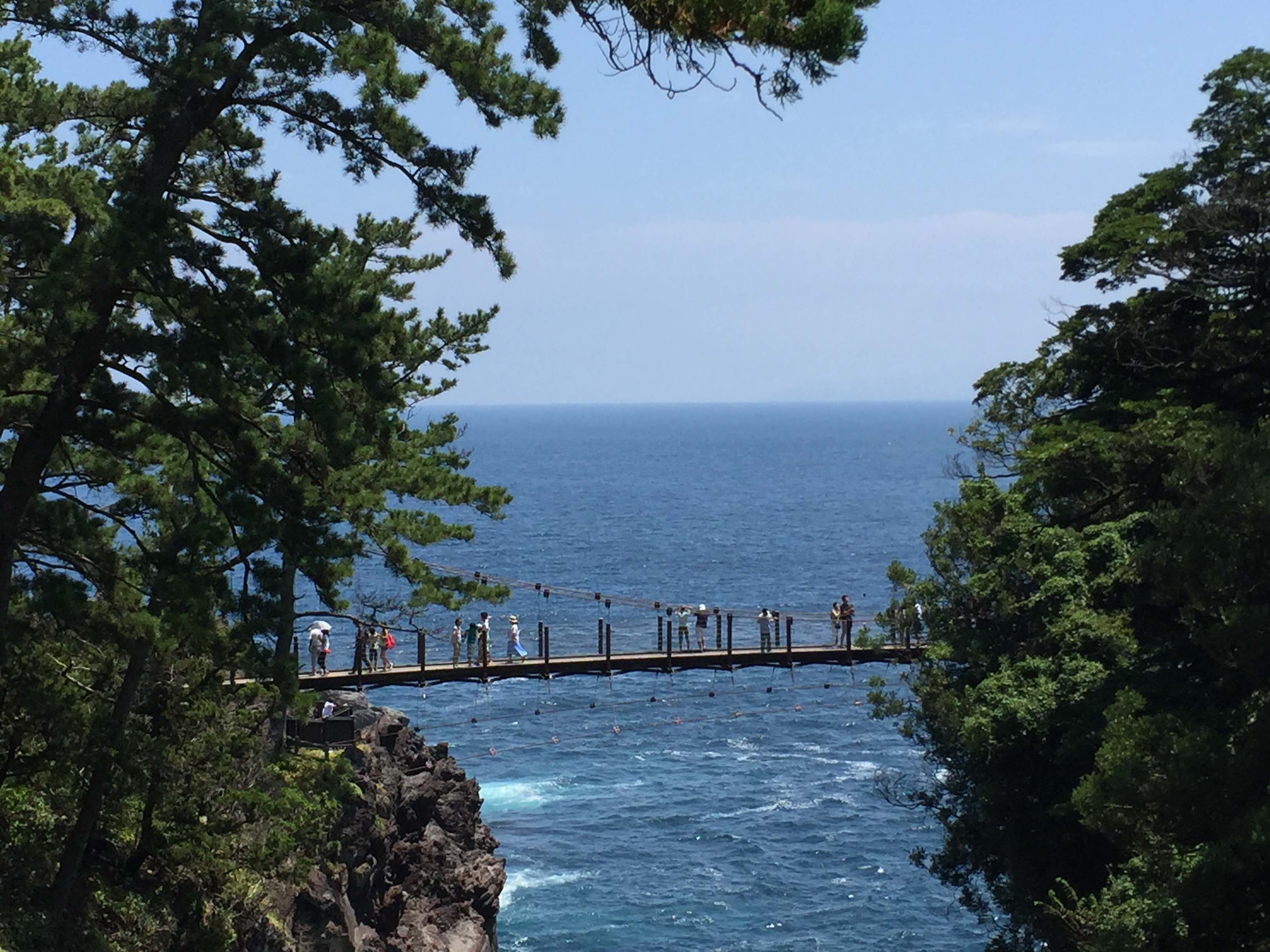 【9~12時/13~16時】城ヶ崎海岸ネイチャーウォーク(往復送迎、ガイド料、保...