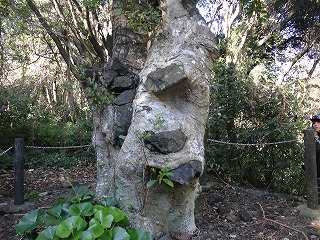 RoȌiρB΂荞݂Ȃ獡ȂLё؁Au΋򂢂̖̂؁vB