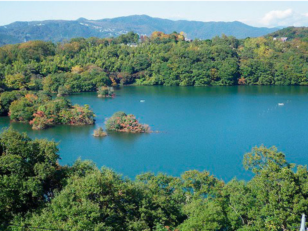 TCNOI͈Ɍ΂𔼎20̃nCLOy߂܂