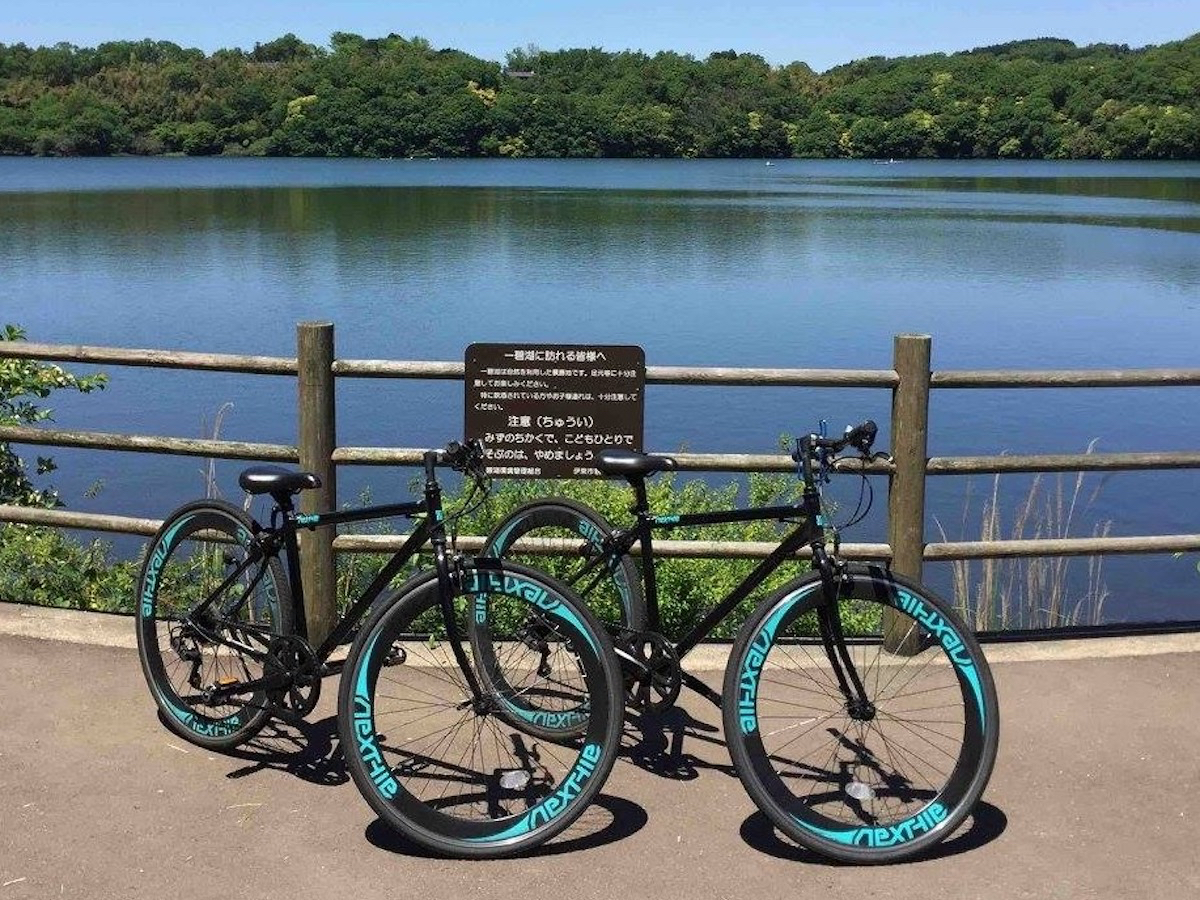 TCNÕS[́wɓ̓xƂɌ΂ł